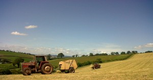 HARVEST 2012