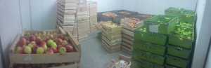 img_20160830_112154_panorama